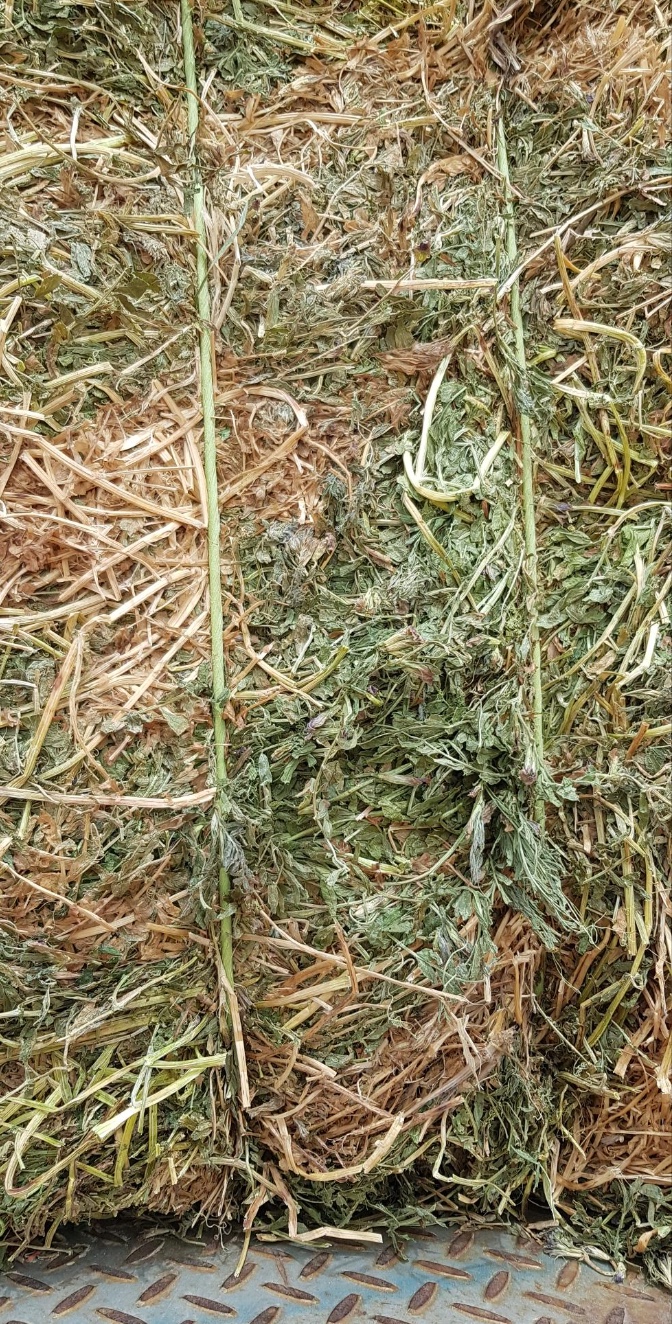 Vetch Hay 8x4x3 100 x 730 KG Approx Bales & Shedded Hay